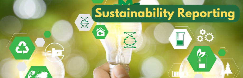 sustainability reporting